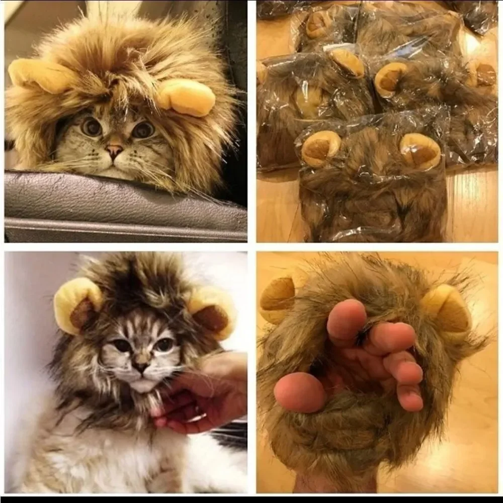 Cat costume